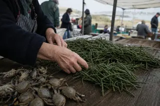 Elderly woman’s hands arranging sea beans and crabs on a weathered stall at a morning market in Paramé, with a cool, muted coastal atmosphere.